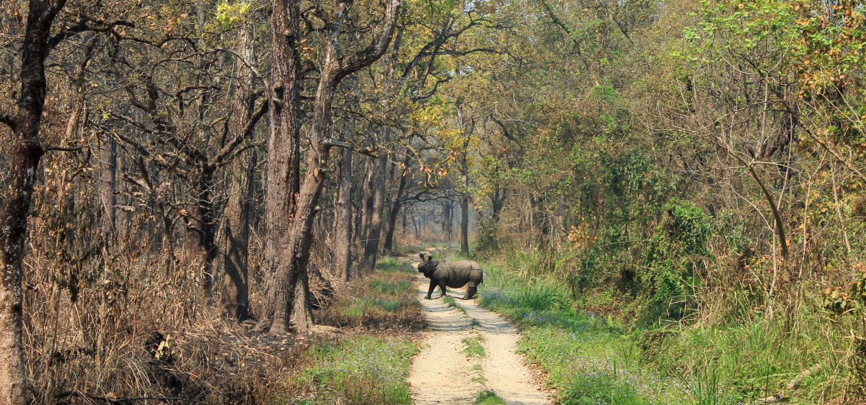 Chitwan